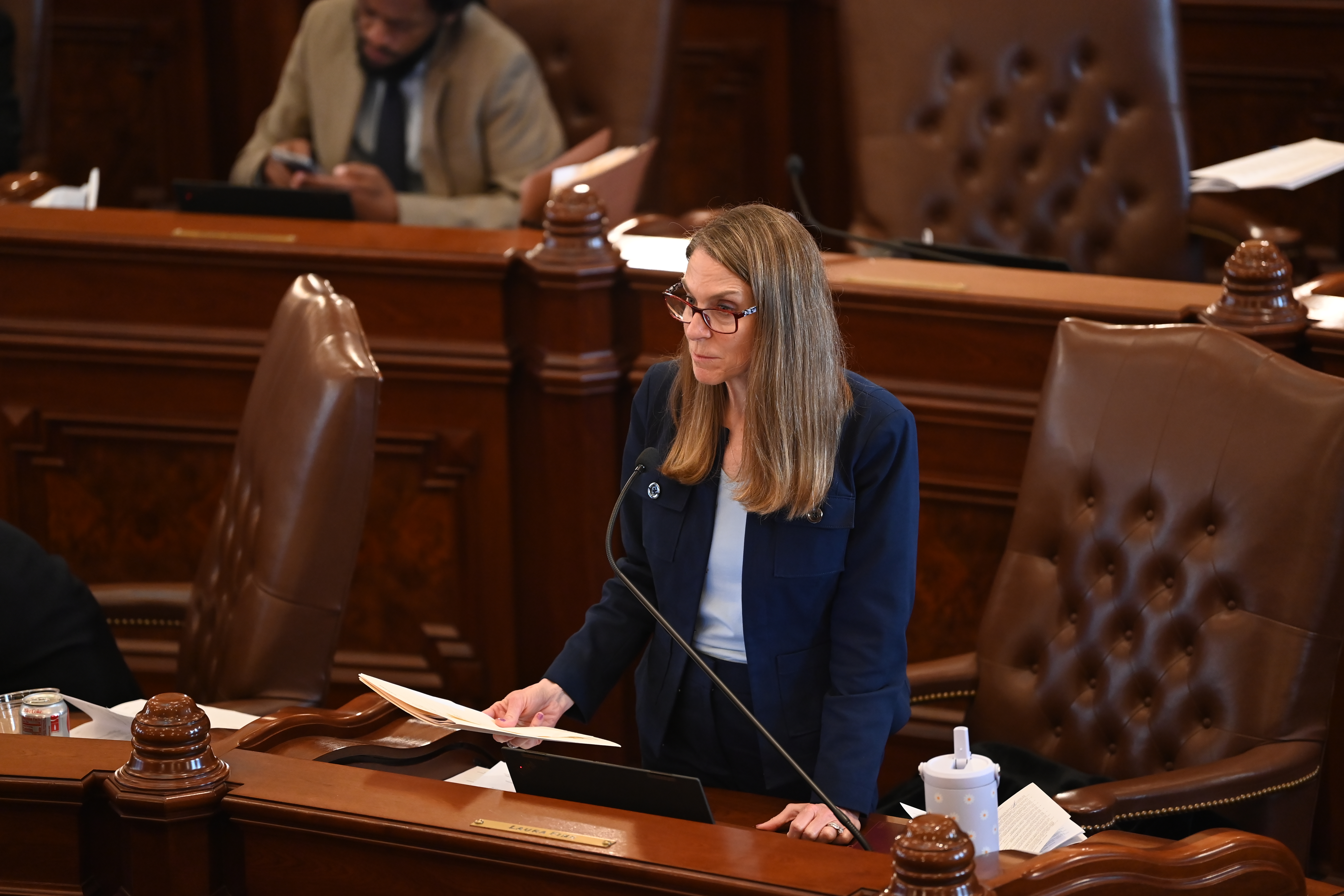 State Senator Laura Fine speaking on the Senate floor