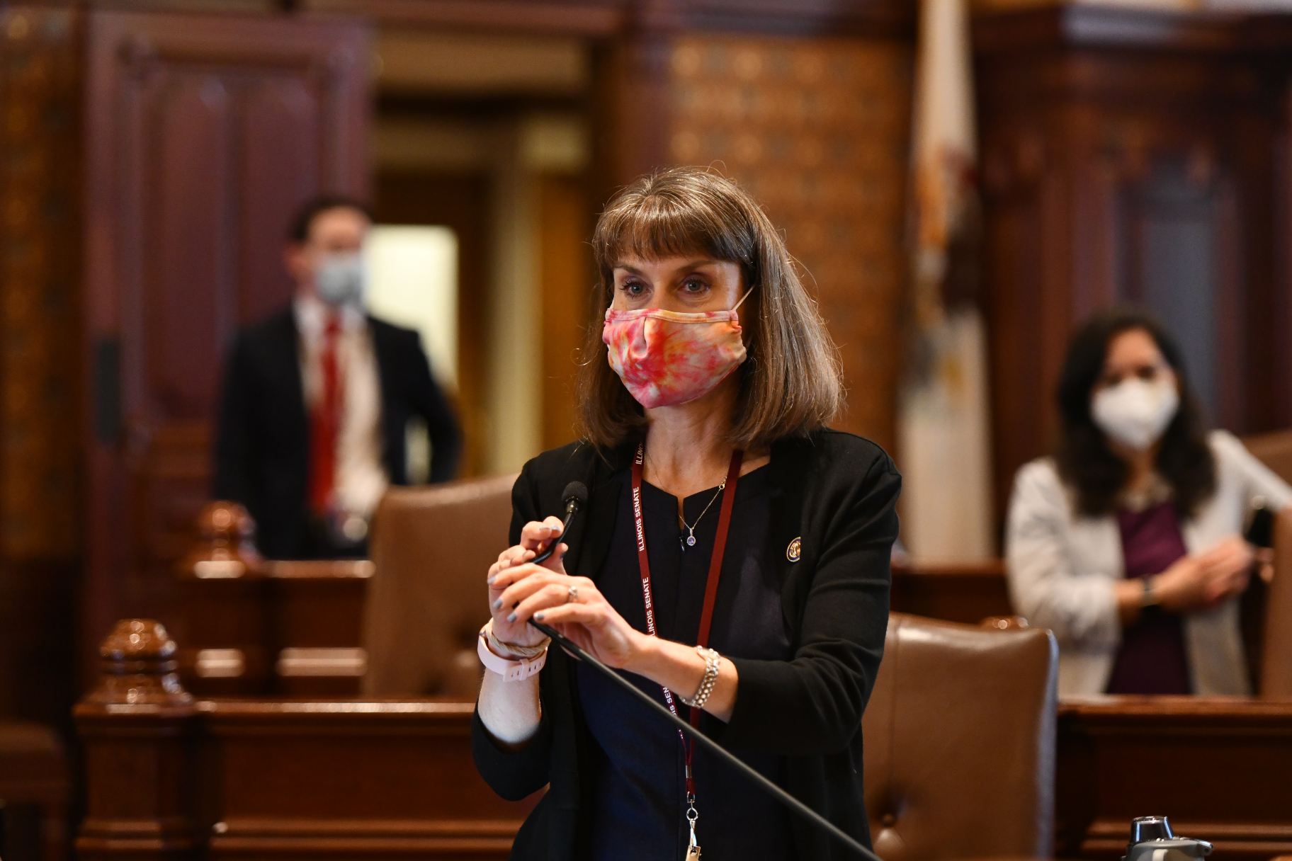 State Senator Laura Fine (D-Glenview) on the Senate floor