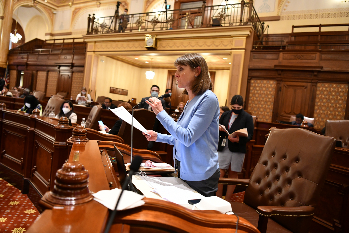 State Senator Laura Fine on the Senate floor
