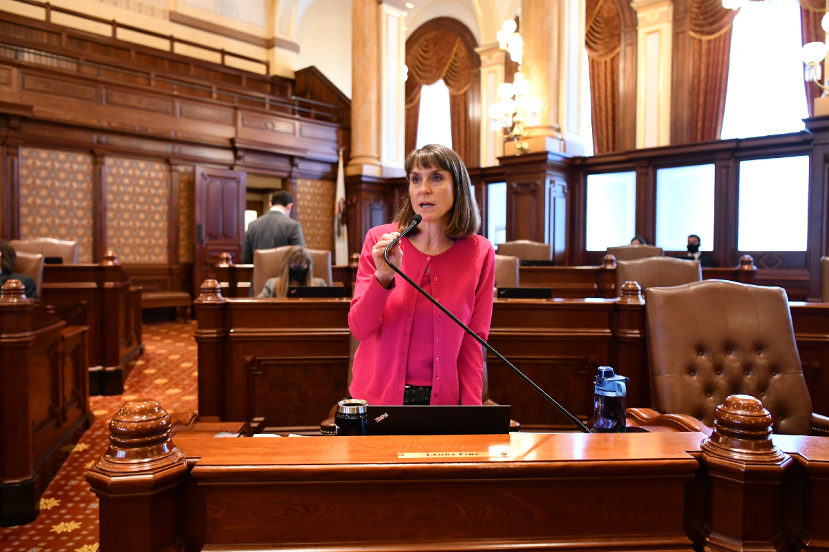 State Senator Laura Fine on the Senate floor