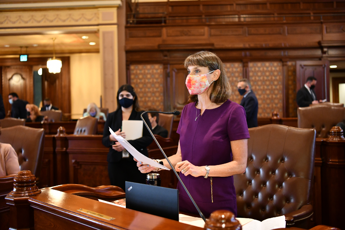 State Senator Laura Fine on the Senate floor