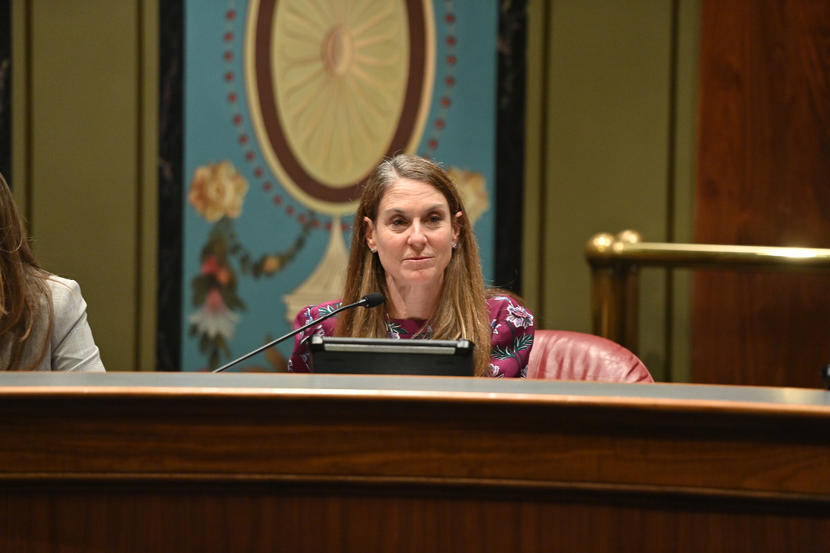 State Senator Laura Fine