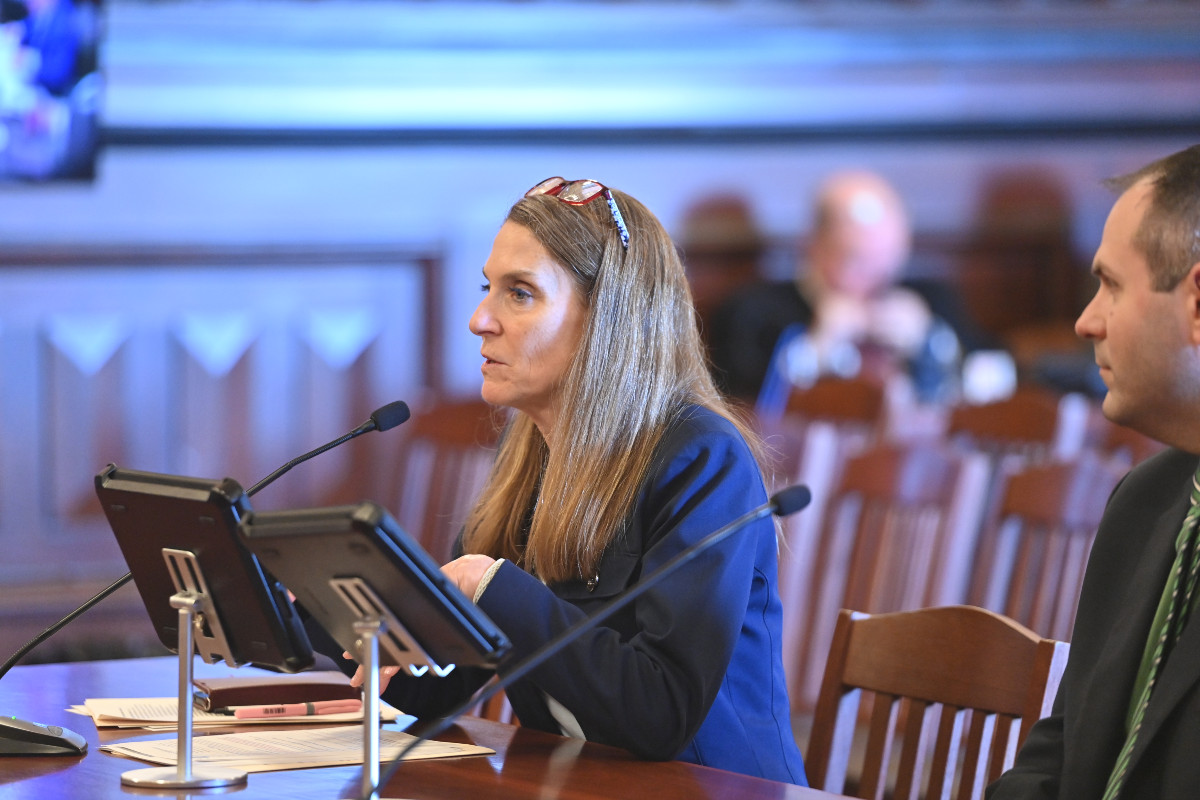 State Senator Laura Fine