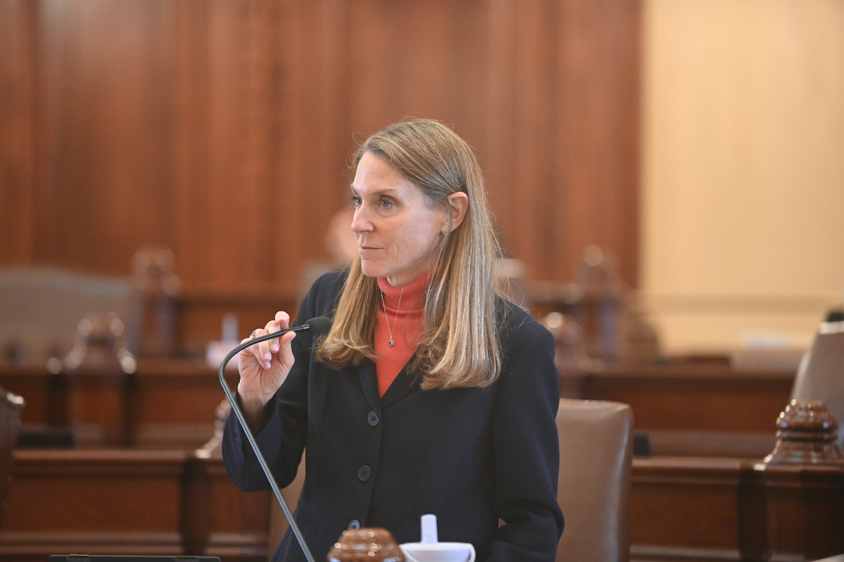 State Senator Laura Fine
