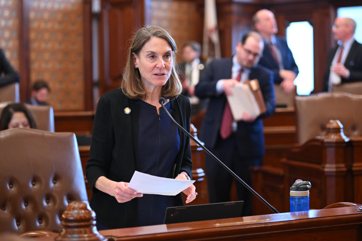 (photo) Senator Laura Fine speaking in the Senate chamber
