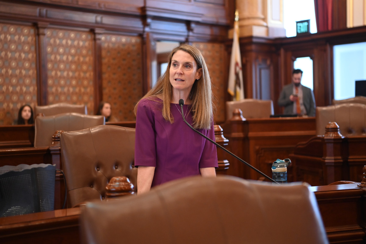 (Photo) Senator Fine speaking in the Senate chamber