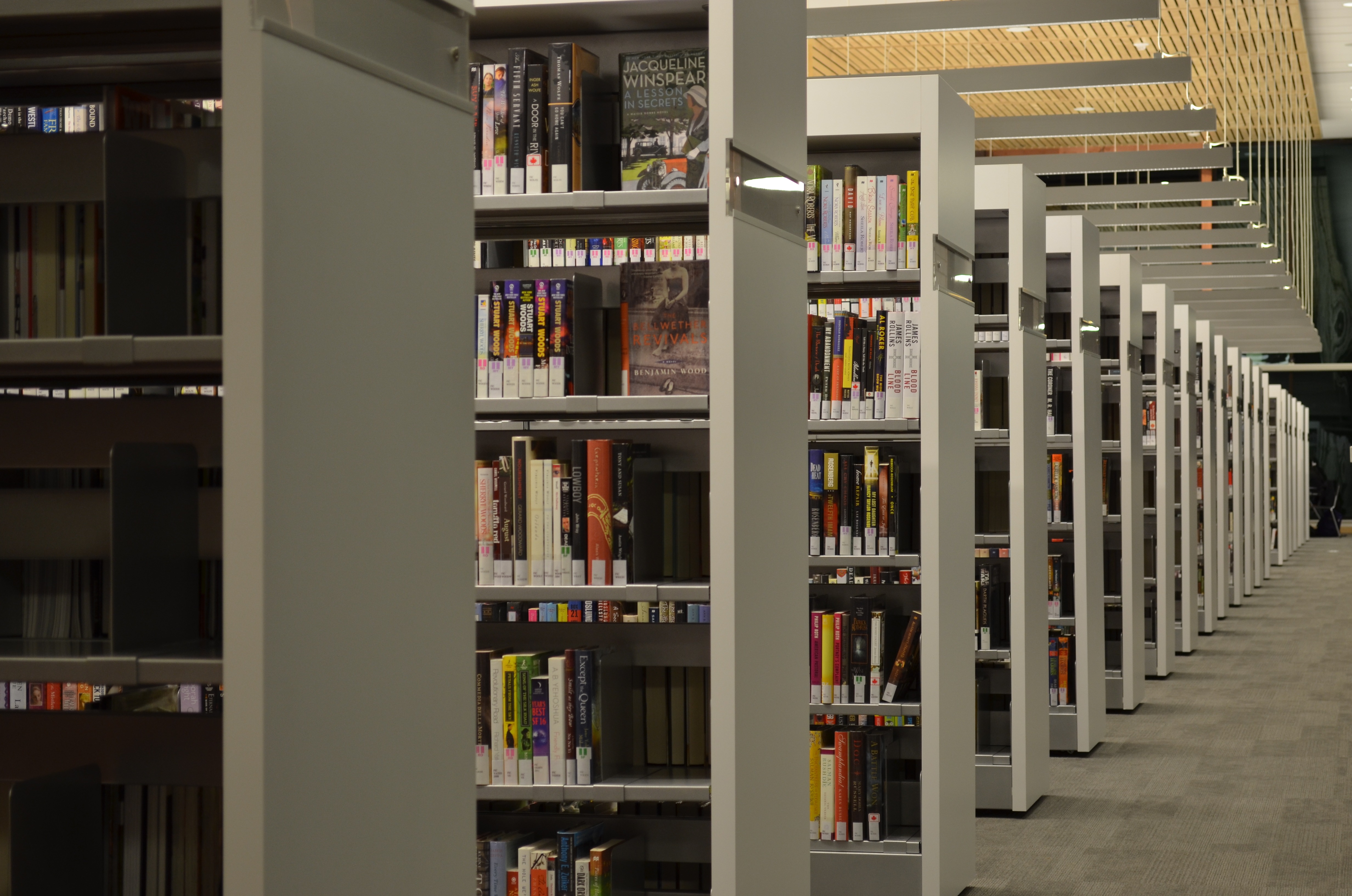 Library shelves 